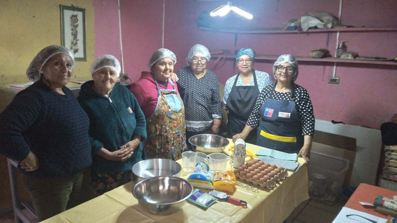 /club-de-adulto-mayor-copihue-de-oro-de-copiapo-desarrolla-talleres-de