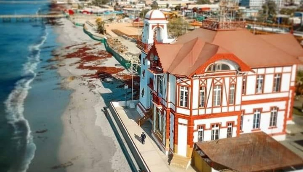 /jauria-de-perros-ataca-a-hombre-en-mejillones-dejandolo-inconsciente