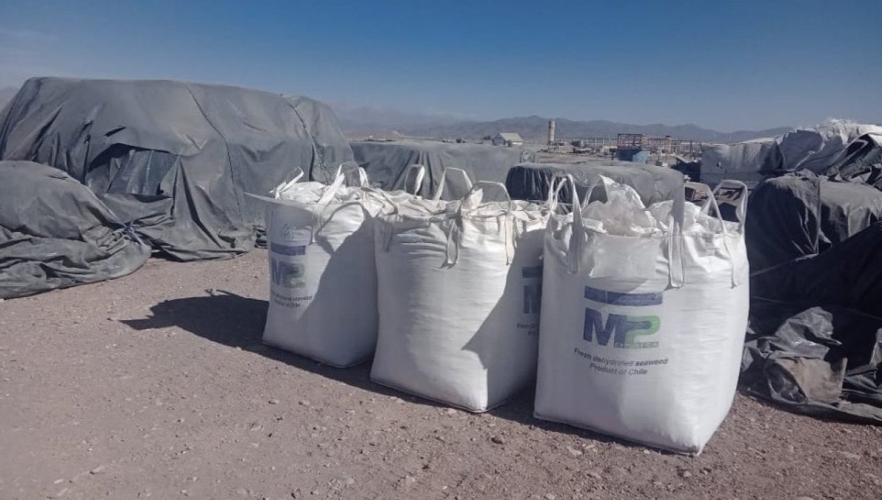 /taltal-incautan-2-38-toneladas-de-huiro-negro-sin-origen-legal-tras