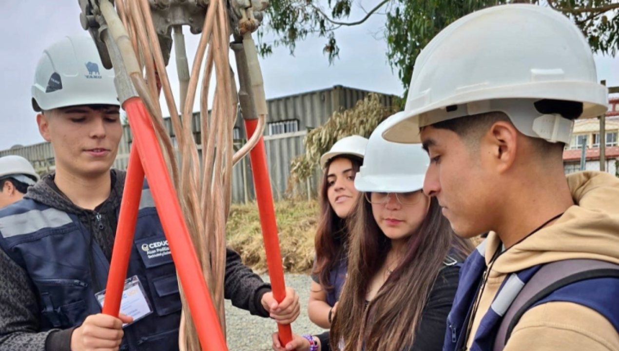 /estudiantes-participaron-junto-a-brigadistas-de-frontel