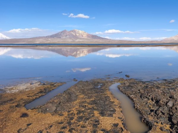 GOBIERNO ACELERA RESPUESTA EN LAGO CHUNGARÁ Y LOGRA RETIRAR 7.400 LITROS DE ACEITE DE SOYA A 10 DÍAS DEL DERRAME