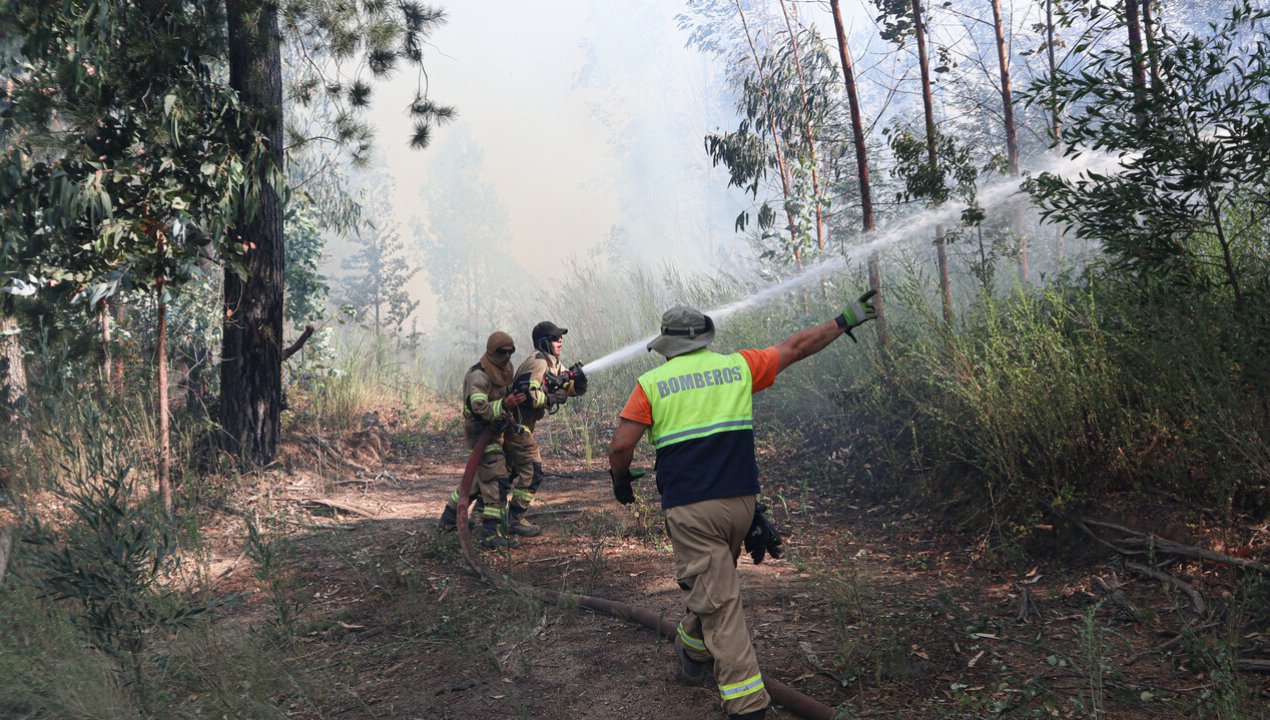 /balance-incendios-forestales-nueva-alarma-por-altas-temperaturas-para-el-maule-nuble-y-biobio