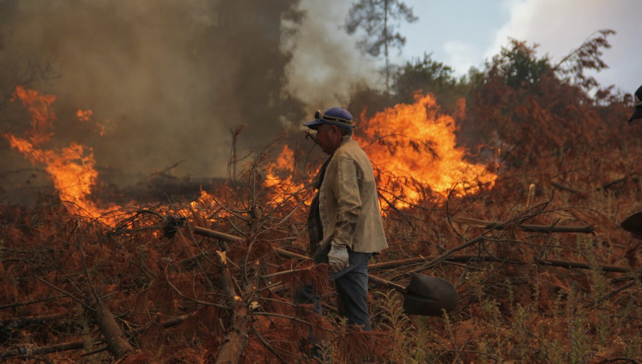 /alerta-roja-incendio-forestal-en-san-vicente-de-tagua-tagua