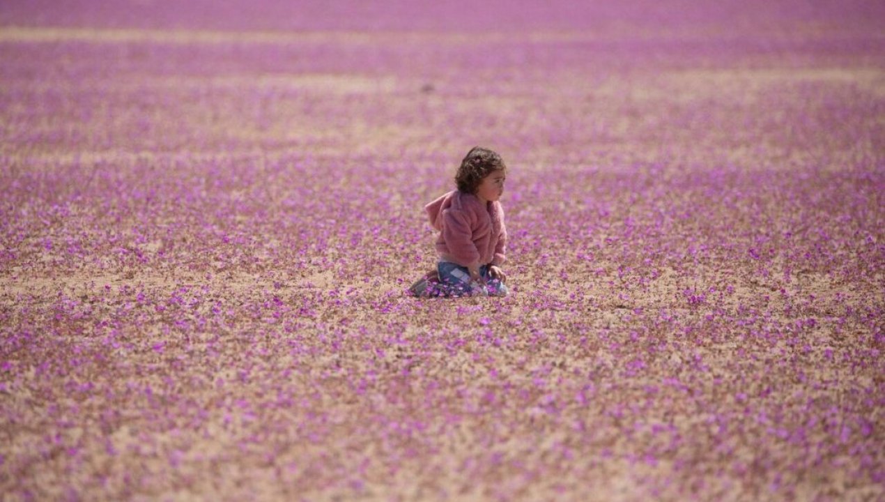 /tendencias/medio-ambiente/national-geographic-destaca-al-desierto-de-atacama-como-destino-cool-para