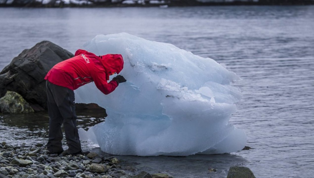 /tendencias/ciencia/punta-arenas-y-pucon-viven-el-mayor-evento-mundial-de-ciencia-antartica