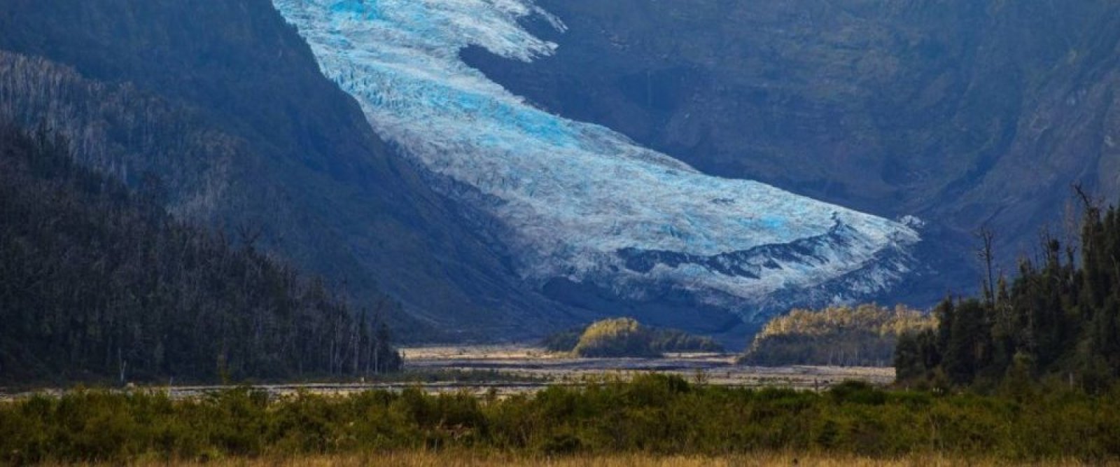 “Es un desmantelamiento”: 247 organizaciones en alerta por retiro de decretos medioambientales