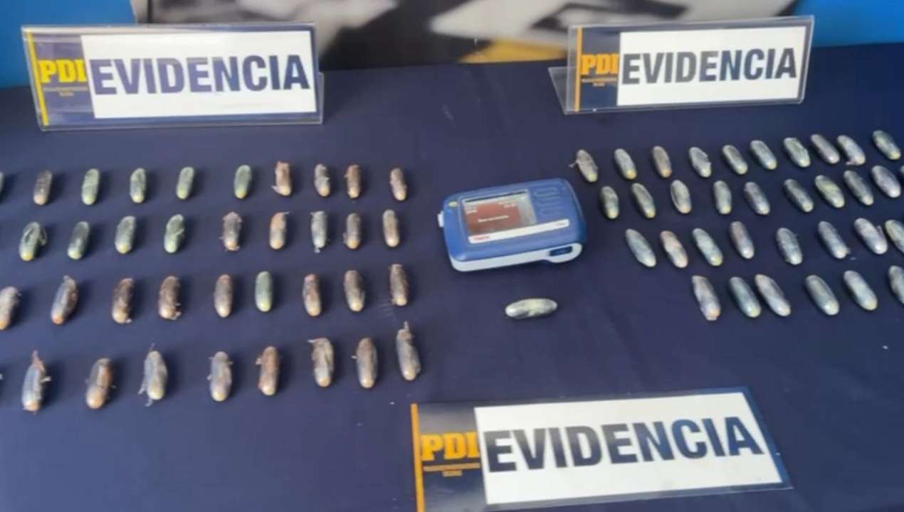 /eficaz-trabajo-interinstitucional-entre-aduanas-y-pdi-permite-detectar